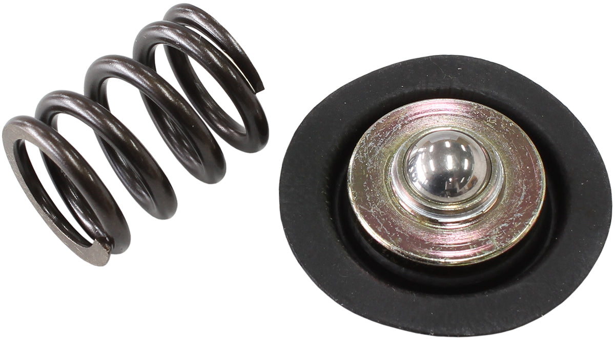AF66-2058 REPLACEMENT DIAPHRAGAND SPRING ASSEMBLY