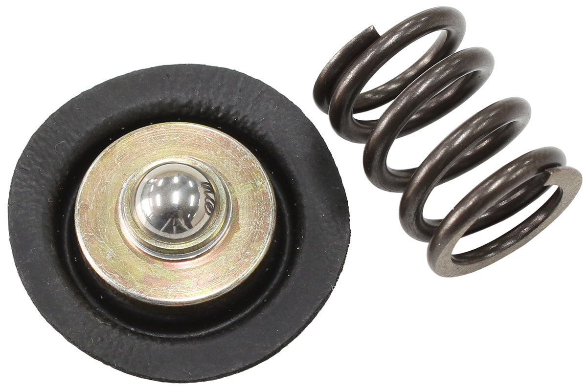 REPLACEMENT DIAPHRAGM & SPRINGFOR AF66-2058 FUEL REGULATOR