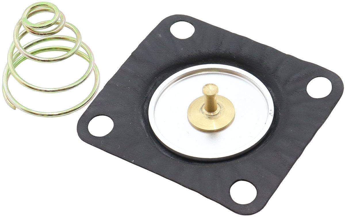 REPLACEMENT DIAPHRAGM WITH SPRING