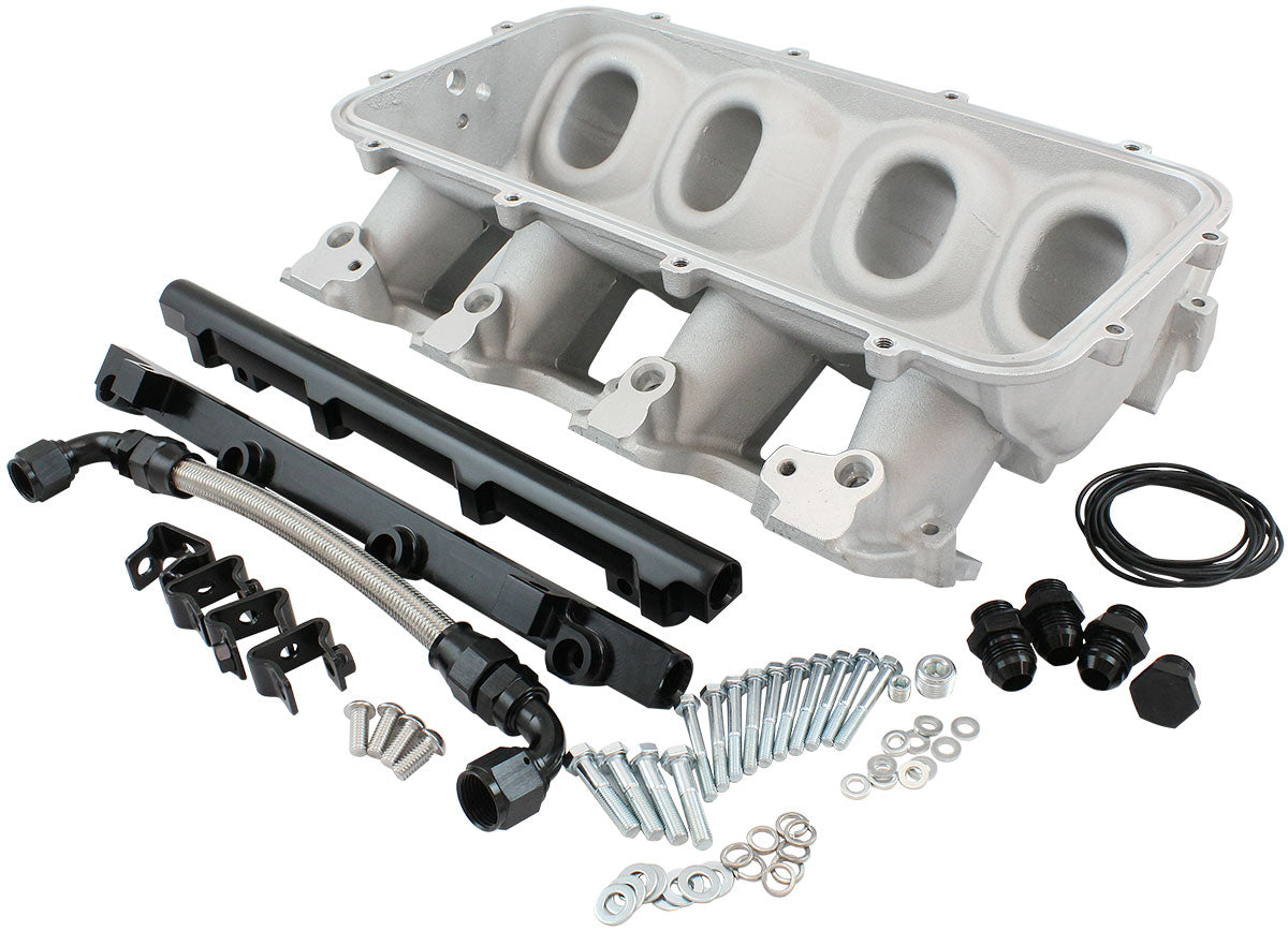 LOW RISE EFI GM LS BASE INTAKEMODULAR MANIFOLD CATHEDRAL PORT NATURAL AF 6079-5001